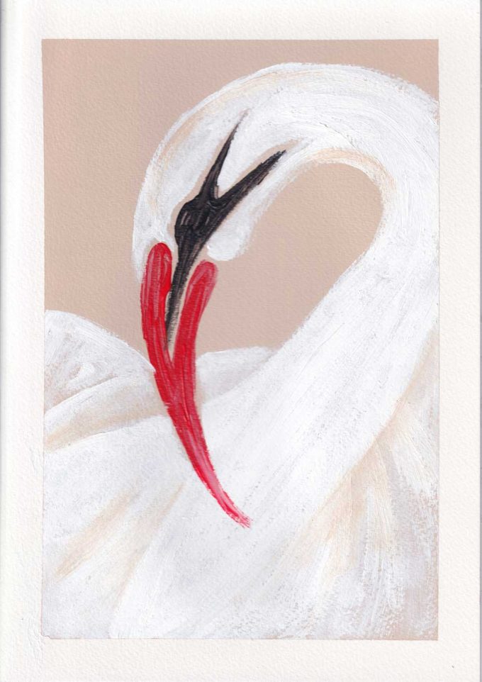 Swan Close