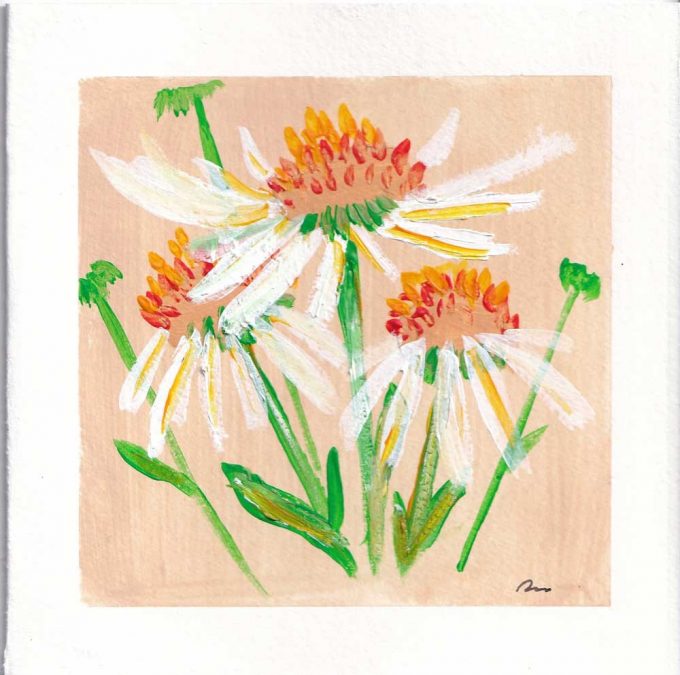 A Square art card of the ECHINACEA-PURPUREA flower hand painted by The Herringbone Studio