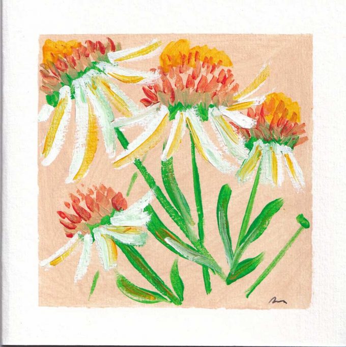 A Square art card of the ECHINACEA-PURPUREA flower hand painted by The Herringbone Studio