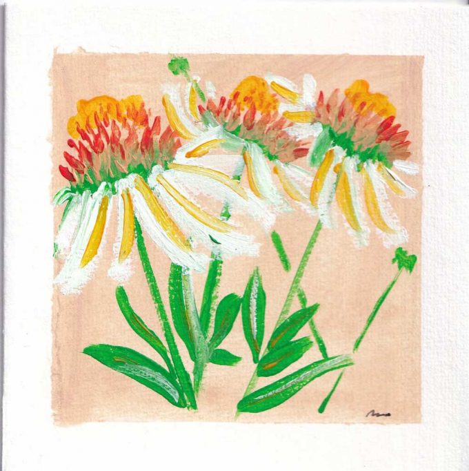 A Square art card of the ECHINACEA-PURPUREA flower hand painted by The Herringbone Studio