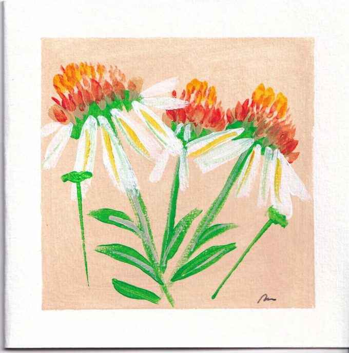 A Square art card of the ECHINACEA-PURPUREA flower hand painted by The Herringbone Studio