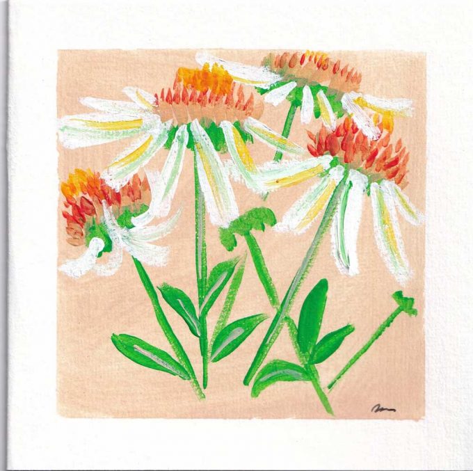 A Square art card of the ECHINACEA-PURPUREA flower hand painted by The Herringbone Studio